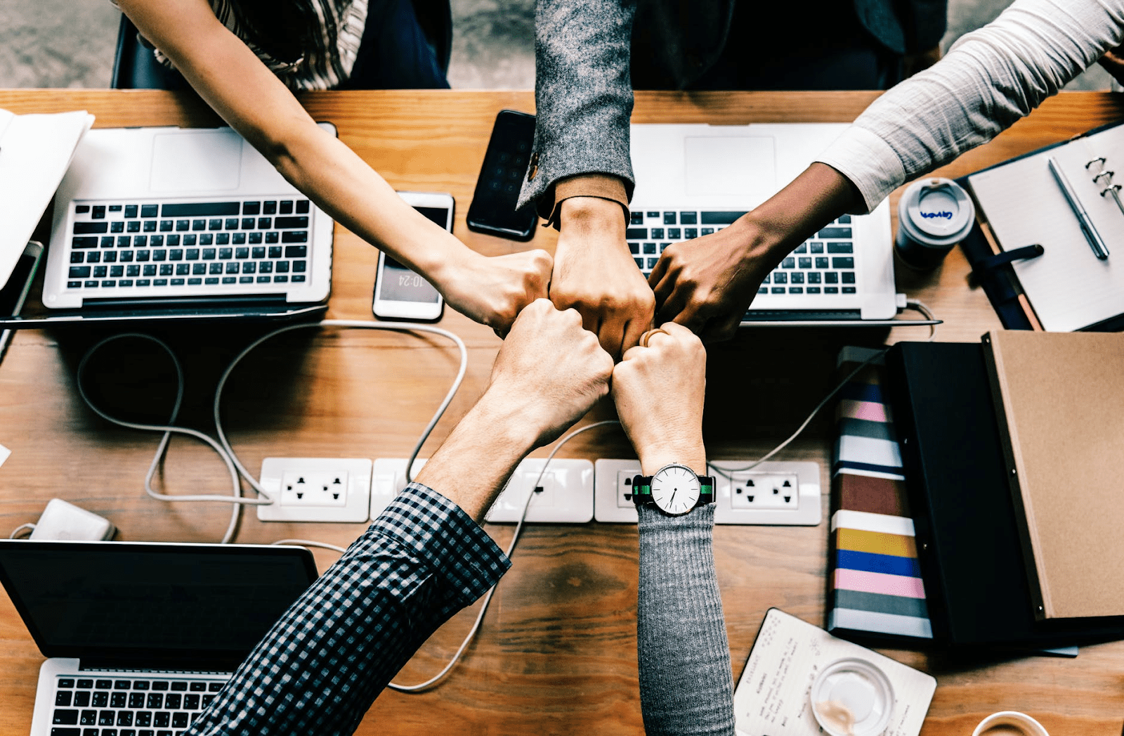 Student-centered learning: A summary of the IBIS curriculum