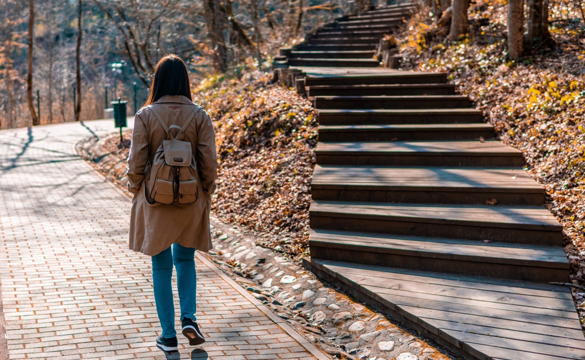 Students need guided pathways