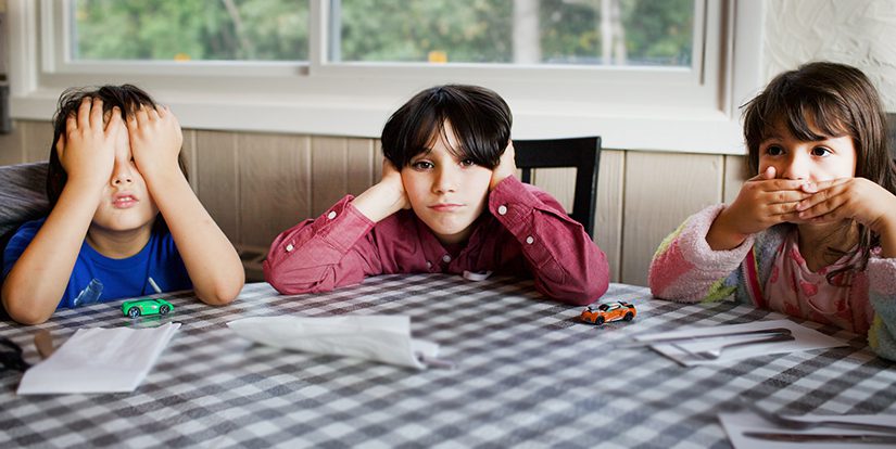 SEL learning for students